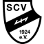 From team logo