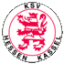 To team logo