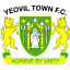 From team logo