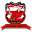 To team logo