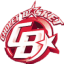From team logo