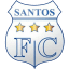 From team logo