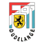 From team logo
