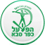 From team logo