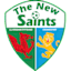 To team logo