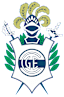 To team logo