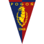 From team logo