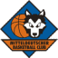 From team logo