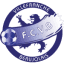 To team logo
