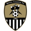 From team logo