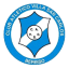 From team logo