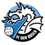 From team logo