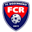 To team logo