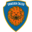 To team logo