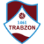 From team logo