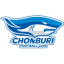 To team logo