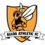 To team logo