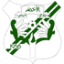 From team logo