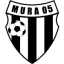 To team logo