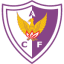 From team logo