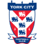 From team logo