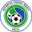 To team logo
