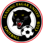To team logo