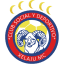 From team logo