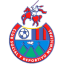 To team logo