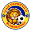 From team logo