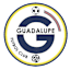 From team logo