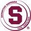 From team logo