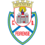 From team logo
