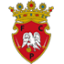 From team logo