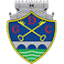 To team logo