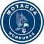 From team logo