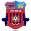 From team logo