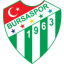 To team logo
