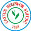 To team logo