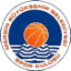 From team logo