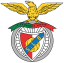 From team logo