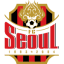 From team logo