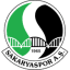 To team logo