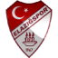 To team logo