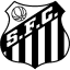 From team logo