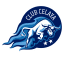 To team logo