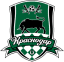 From team logo