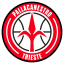 To team logo