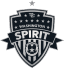 From team logo
