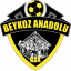 From team logo